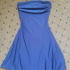 Windsor Blue Strapless Mini Dress
